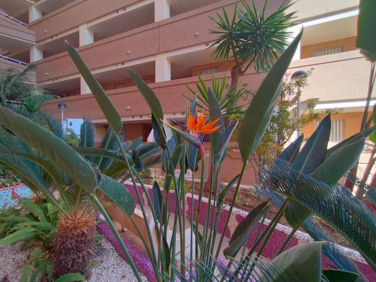 Appartement Acv - Costa Caribe I-2ª Linea Planta 1 Sur à Oropesa del Mar Extérieur photo